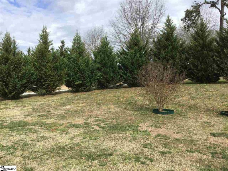 Property image 4 at 101 Glastonbury Drive, Greer, SC 29651