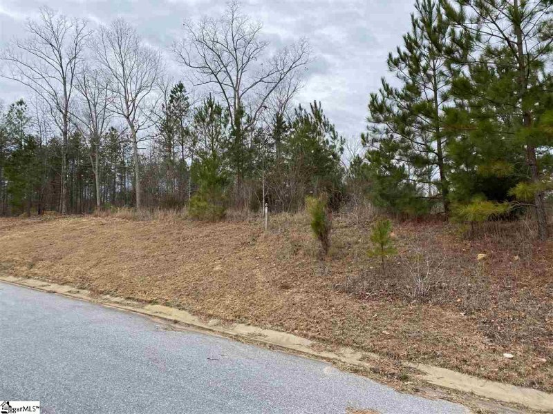 Property image 2 at 101 Cherry Plum Way, Pelzer, SC 29669