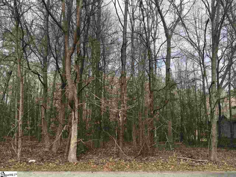 Property image 2 at South Artillery Court, Piedmont, SC 29673