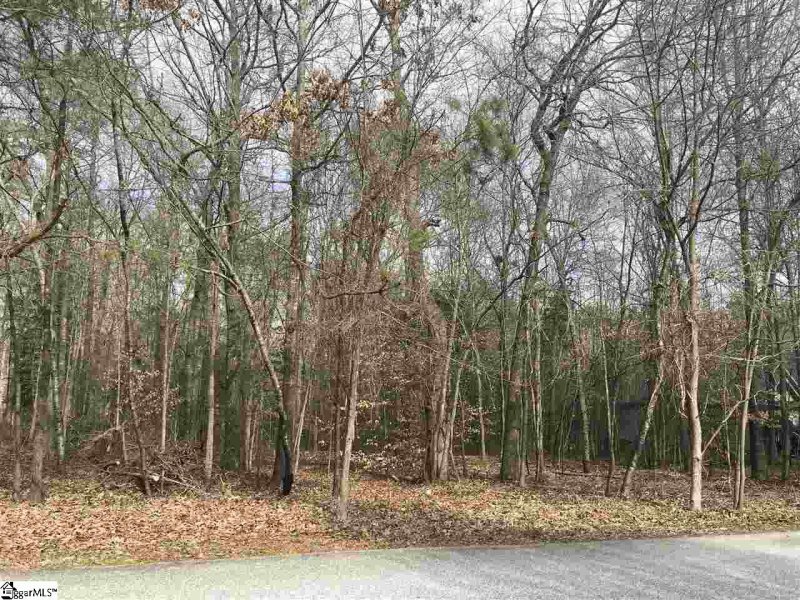 Property image 5 at South Artillery Court, Piedmont, SC 29673