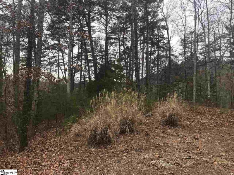 Property image 4 at 515 Augusta Links Trail, Travelers Rest, SC 29690