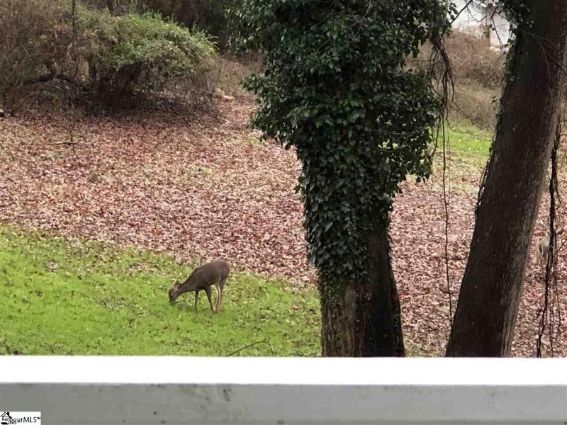 Property image 3 at 105 Patton Drive, Greenville, SC 29605