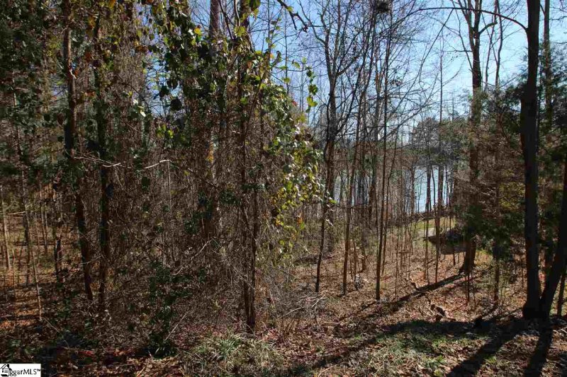 Property image 2 at Bass Cove Drive, Taylors, SC 29687