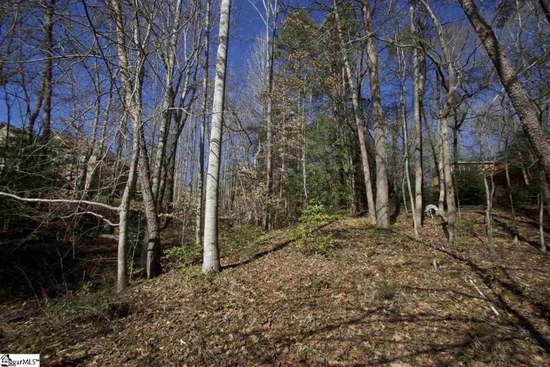 Property image 5 at Bass Cove Drive, Taylors, SC 29687