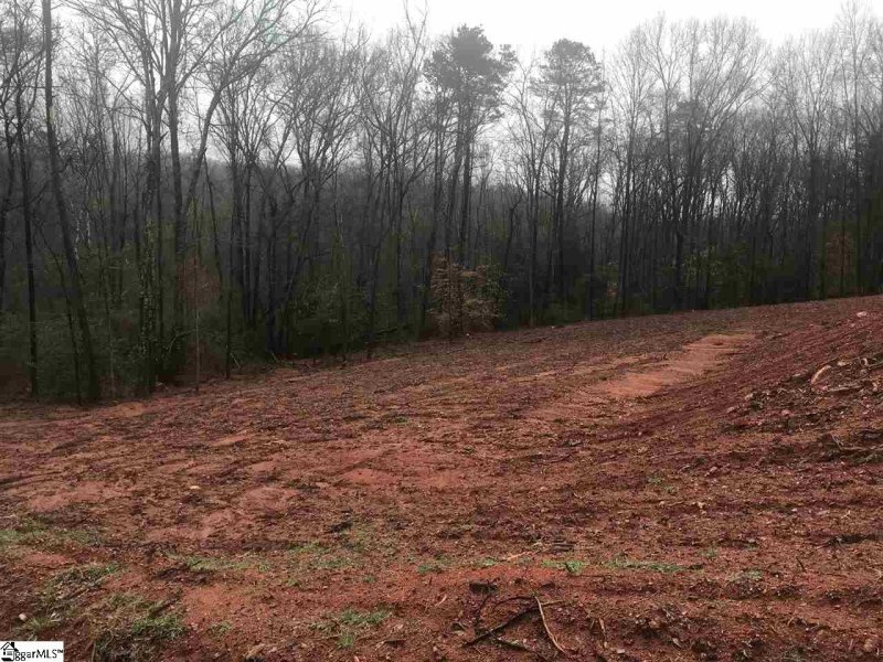 Property image 3 at 124 Sir Lancelot Drive, Piedmont, SC 29673