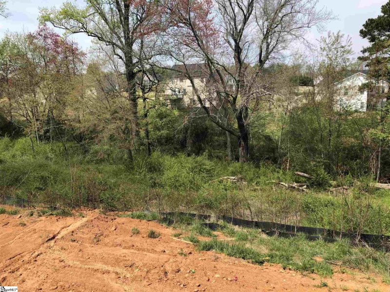 Property image 4 at 114 Owens Creek Court, Greer, SC 29651