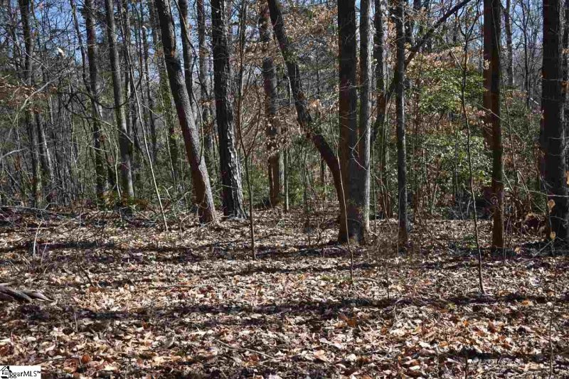 Property image 3 at Grandwood Boulevard, Gray Court, SC 29645