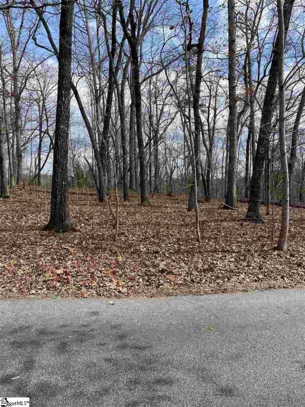 Property image 2 at 515 Doe Run, Pickens, SC 29671