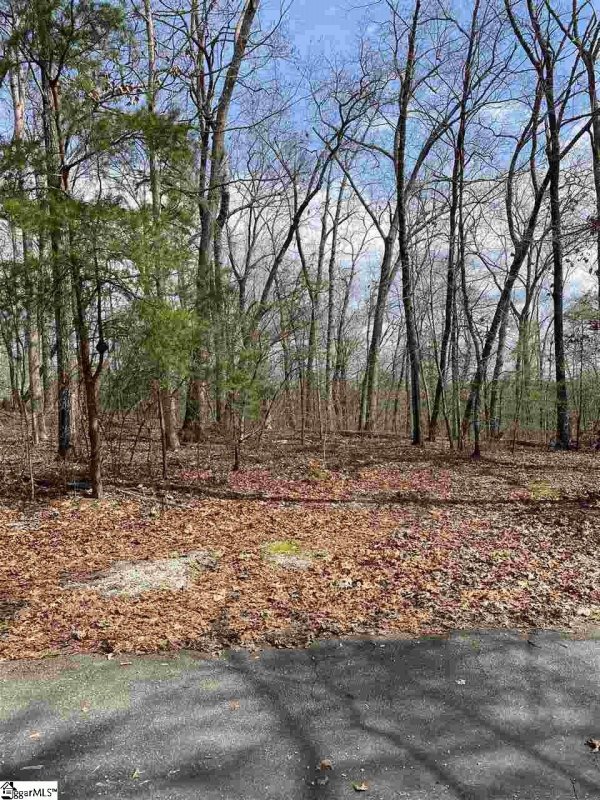 Property image 3 at 515 Doe Run, Pickens, SC 29671