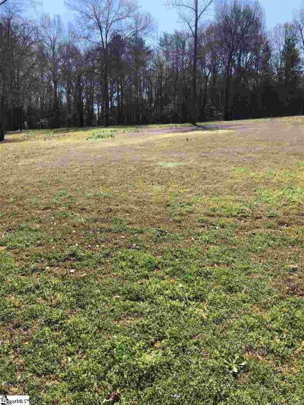 Property image 2 at Shadowmere Drive, Pelzer, SC 29669