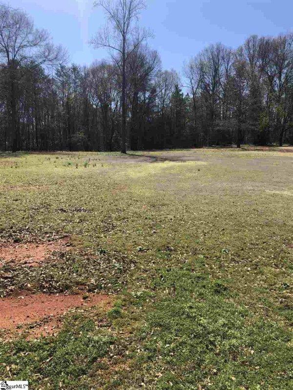 Property image 3 at Shadowmere Drive, Pelzer, SC 29669