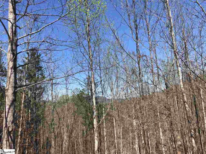 Property image 3 at 15 Clermont Court, Travelers Rest, SC 29690