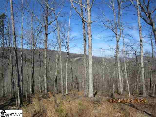 Property image 3 at 409 Augusta Links Trail, Travelers Rest, SC 29690