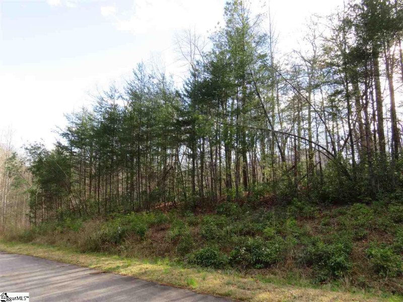 Property image 4 at 109 Matthews Creek Lane, Cleveland, SC 29635