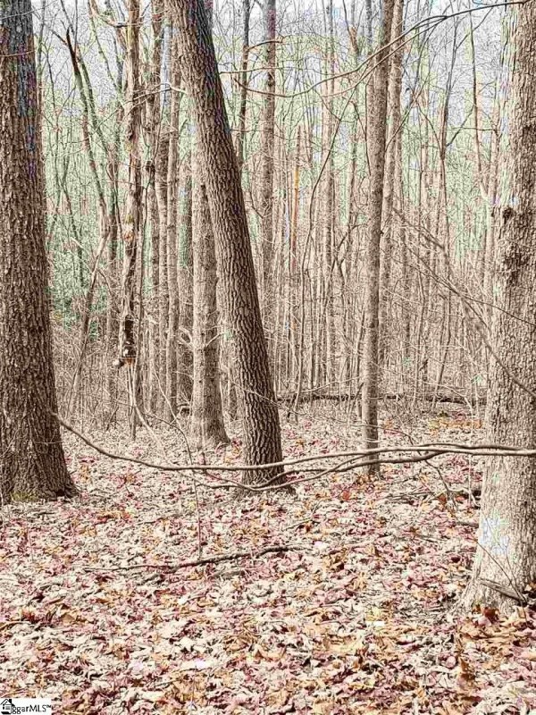 Property image 4 at 242 Luberon Lane, Travelers Rest, SC 29690