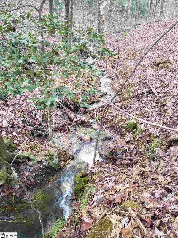 Property image 5 at 242 Luberon Lane, Travelers Rest, SC 29690