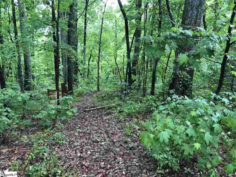 Property image 5 at 102 George Williams Drive, Easley, SC 29640