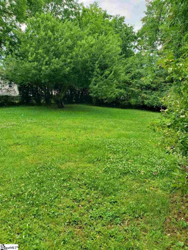 Property image 3 at 115 Leo Lewis Street, Greenville, SC 29609