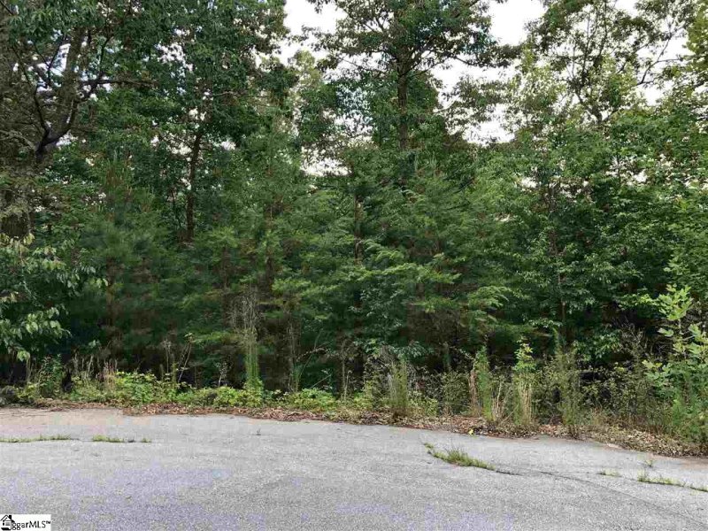 Property image 2 at 0 Sandia Lane, Cleveland, SC 29635