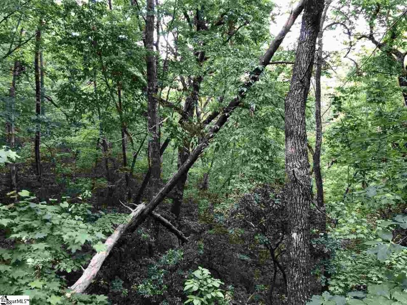 Property image 3 at 0 Sandia Lane, Cleveland, SC 29635