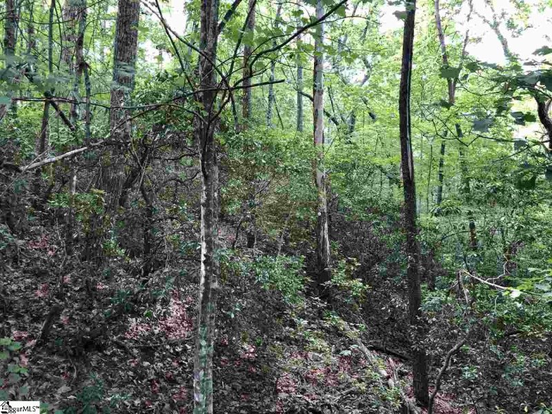 Property image 4 at 0 Sandia Lane, Cleveland, SC 29635