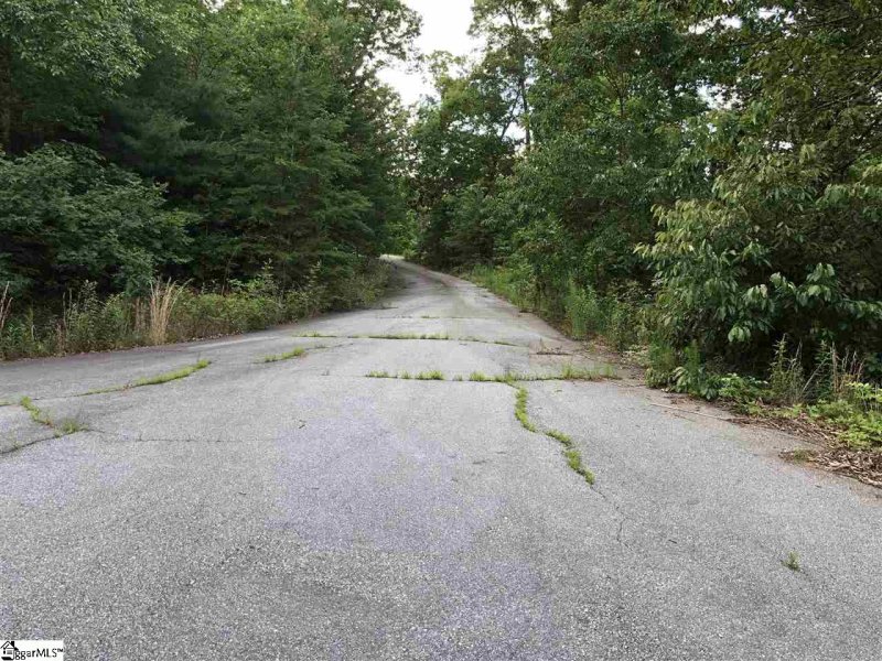 Property image 5 at 0 Sandia Lane, Cleveland, SC 29635