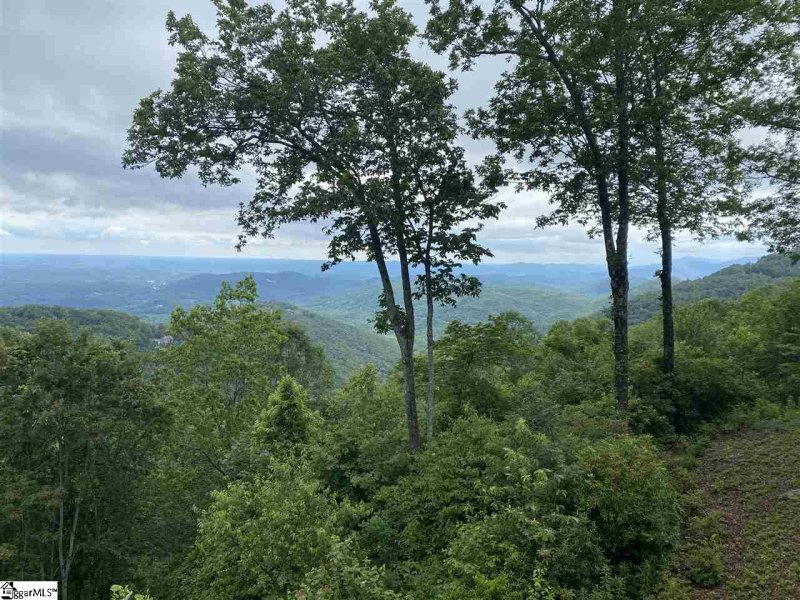 Property image 4 at 1405 Mountain Summit Road, Zirconia, NC 28790