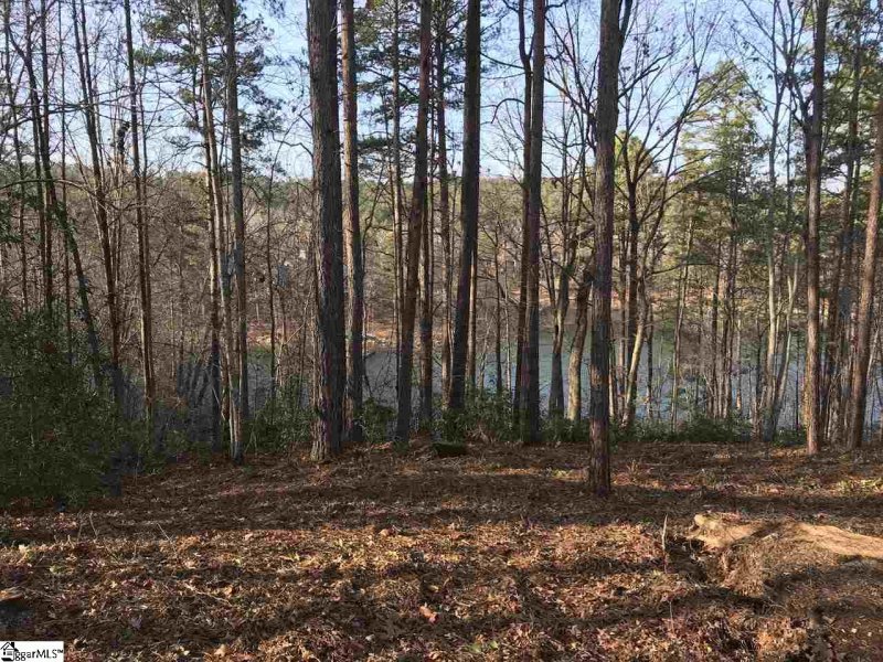 Property image 5 at 346 Long Cove Trail, Salem, SC 29676