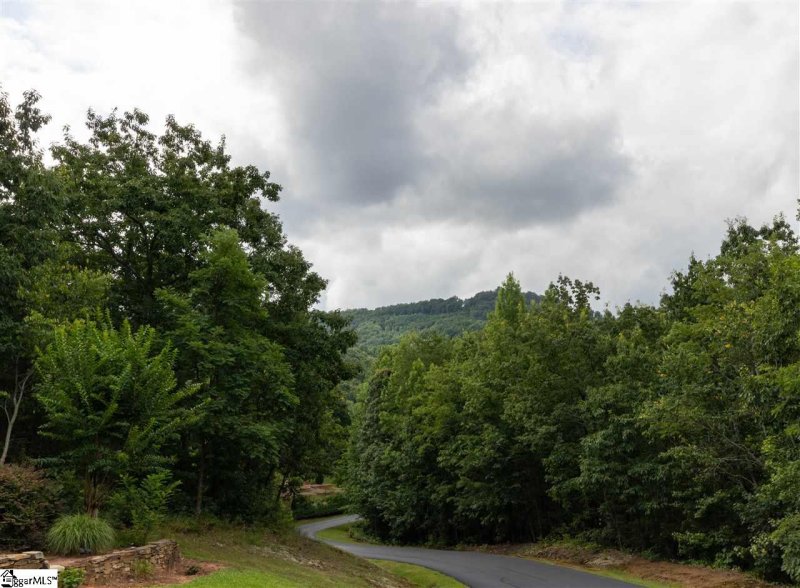 Property image 4 at 3 AUTUMN VIEW Ridge, Travelers Rest, SC 29690