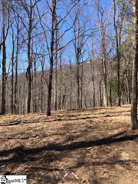 Property image 5 at 73 Needle Cragg Road, Landrum, SC 29356