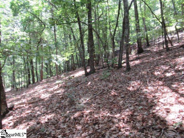 Property image 2 at 292 Curts Way, Cleveland, SC 29635