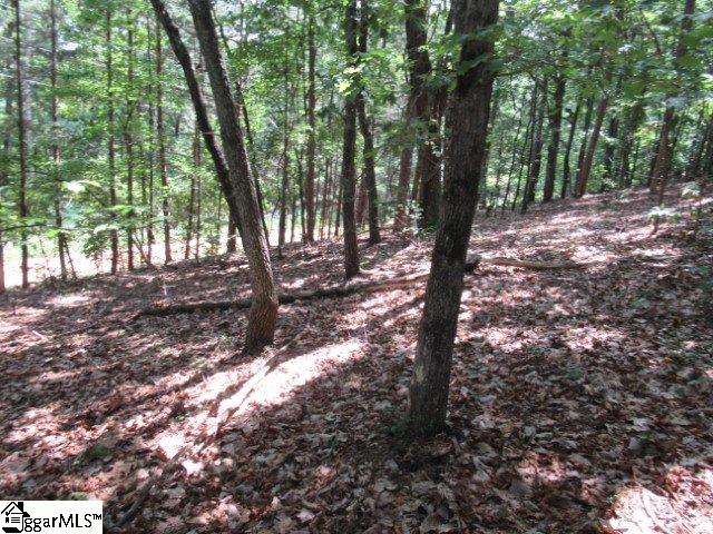 Property image 3 at 292 Curts Way, Cleveland, SC 29635