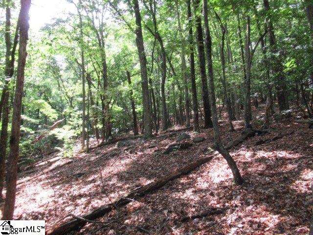 Property image 4 at 292 Curts Way, Cleveland, SC 29635