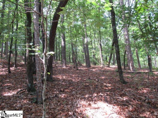 Property image 5 at 292 Curts Way, Cleveland, SC 29635