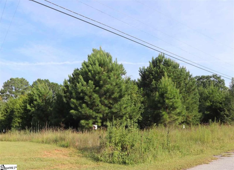 Property image 3 at 101 Blakely Avenue, Laurens, SC 29360