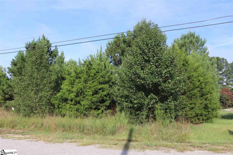 Property image 4 at 101 Blakely Avenue, Laurens, SC 29360