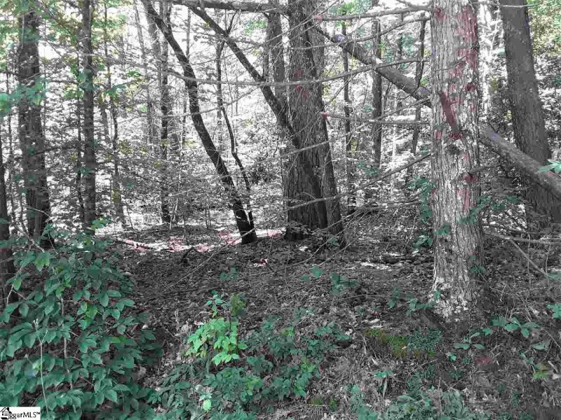 121 Willys Creek Circle