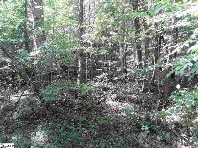 Property image 2 at 121 Willys Creek Circle, Pickens, SC 29671