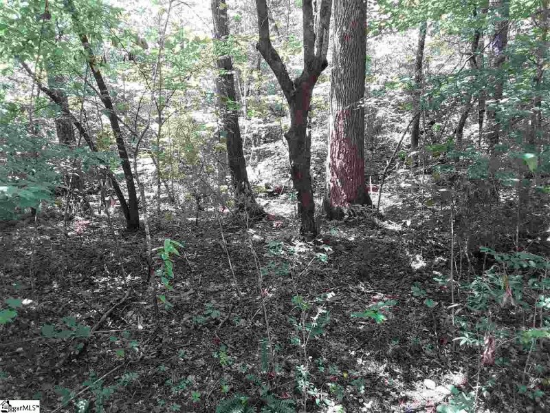 Property image 3 at 121 Willys Creek Circle, Pickens, SC 29671