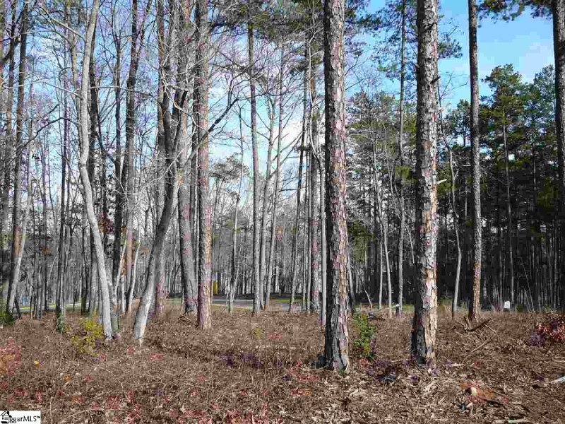 Property image 2 at Pointe Harbor Drive, Seneca, SC 29672