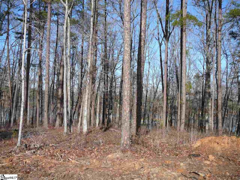 Property image 4 at Pointe Harbor Drive, Seneca, SC 29672