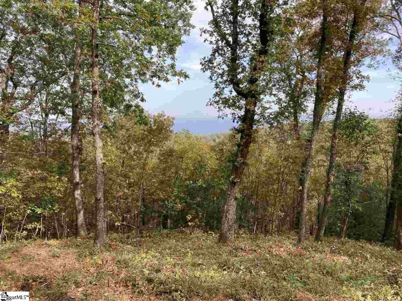 Property image 2 of 215 Yellowroot Lane in The Cliffs at Glassy, Landrum, SC 29356