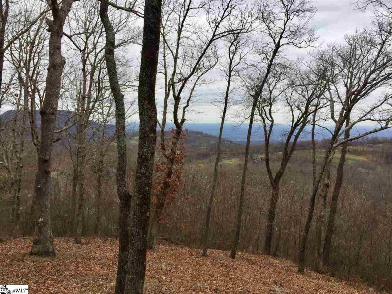 Property image 3 of 215 Yellowroot Lane in The Cliffs at Glassy, Landrum, SC 29356