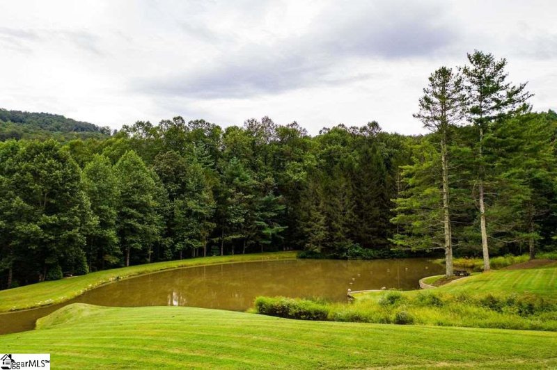 Property image 4 at 20 Wild Magnolia Way, Zirconia, NC 28790