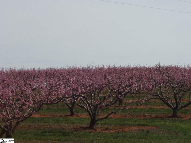 Property image 5 at 231 luberon Lane, Travelers Rest, SC 29690