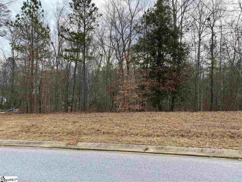 Property image 4 at 113 Cherry Plum Way, Pelzer, SC 29669