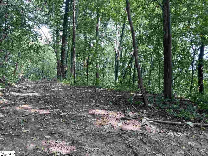 Property image 5 of Boulder Lookout Drive in The Cliffs at Glassy, Landrum, SC 29356