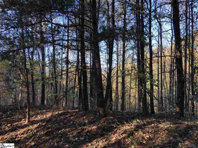 Property image 2 at 17 Clermont Court, Travelers Rest, SC 29690