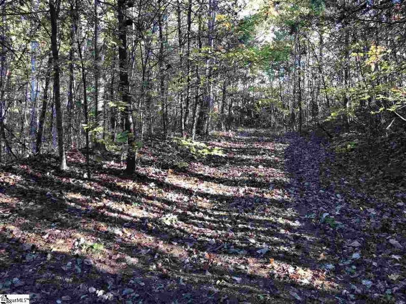 Property image 3 at 17 Clermont Court, Travelers Rest, SC 29690