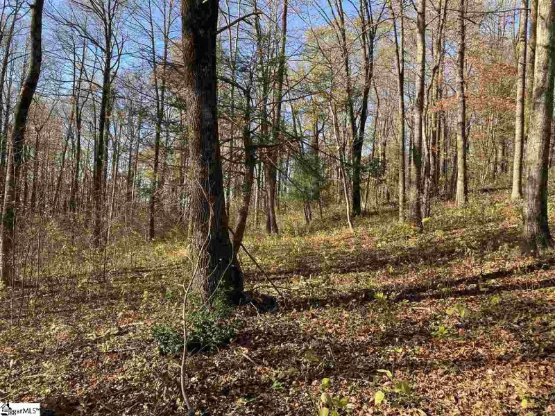 Property image 3 of 194 Catnip Trail in The Cliffs at Glassy, Landrum, SC 29356